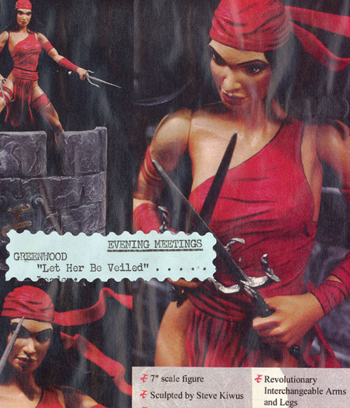 prayer covering-veiled picture