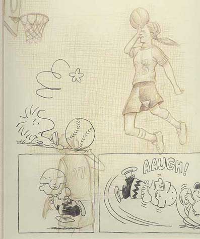 American sports obsession culture, featuring Peanuts-Charlie Brown & Woodstock picture 