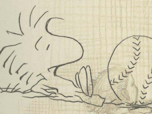 American sports obsession culture, featuring Peanuts-Charlie Brown & Woodstock picture 